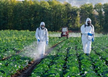 Round Up Pesticide Lawsuit